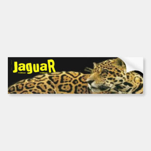 JaguaR Bumper Sticker