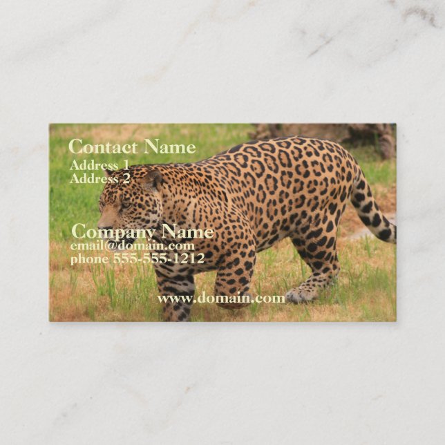 Jaguar Business Card (Front)