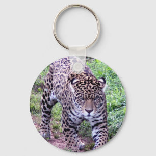 Jaguar Cat Pattern Animal Safari Jungle Art Nature Key Ring
