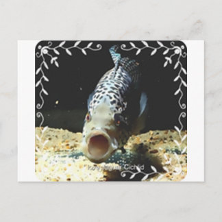 Jaguar Cichlid Postcard