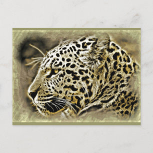 Jaguar Closeup Postcard