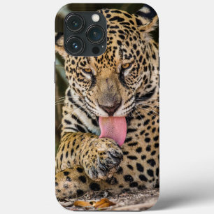 Jaguar Cub Case-Mate iPhone case