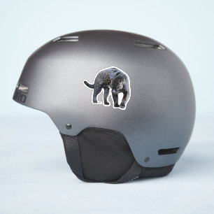 Jaguar Diablo contour sticker