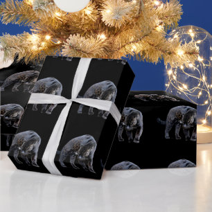 Jaguar Diablo glossy wrapping paper 30x6