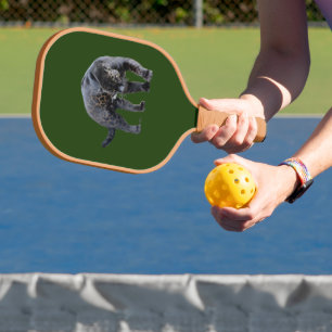 Jaguar Diablo green tan n fur pickleball paddle cb
