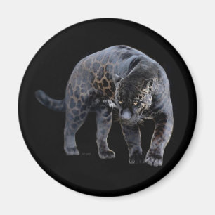 Jaguar Diablo round magnet