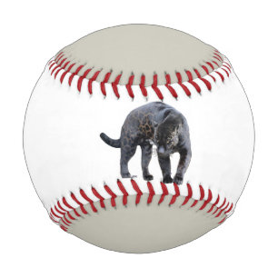 Jaguar Diablo white and grey baseball