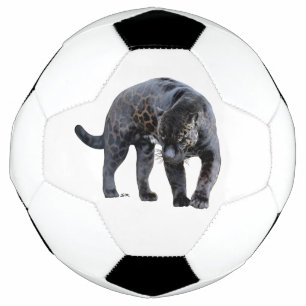 Jaguar Diablo white soccer ball