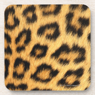Jaguar Fur Coaster