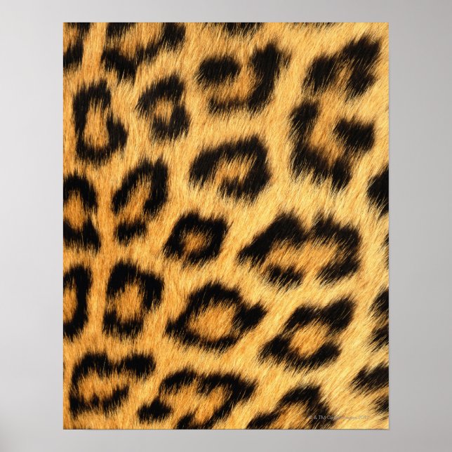 Jaguar Fur Poster (Front)