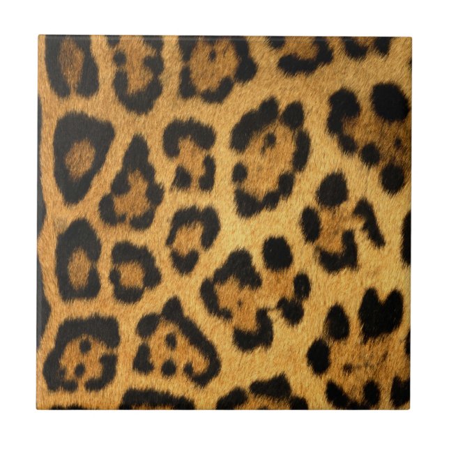 Jaguar Fur Print Tile (Front)