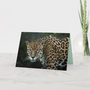 jaguar greeting card