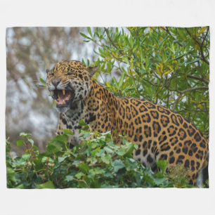 Jaguar Growl Fleece Blanket