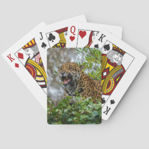 Jaguar Growl Playing Cards