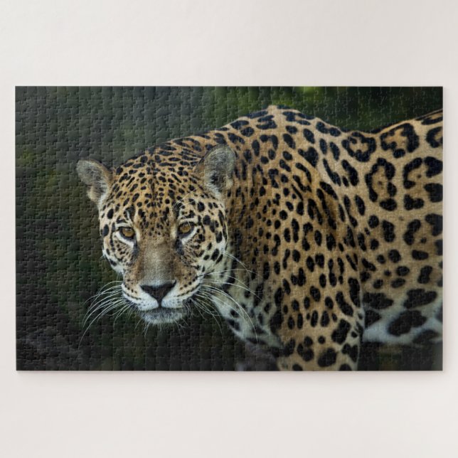 Jaguar Jigsaw Puzzle (Horizontal)