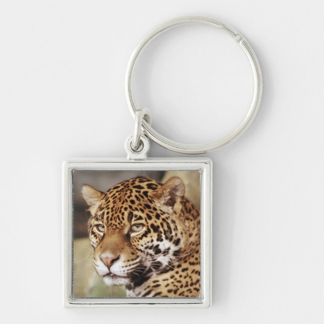 Jaguar Keychain (Front)