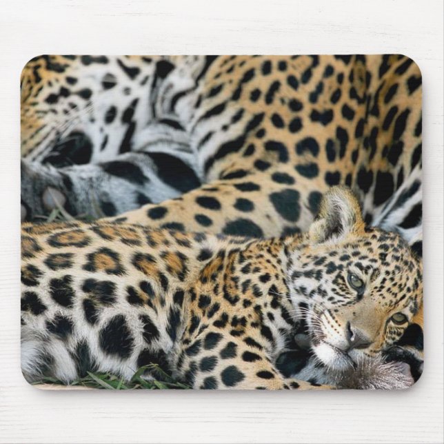 jaguar-mum-and-baby mouse pad (Front)