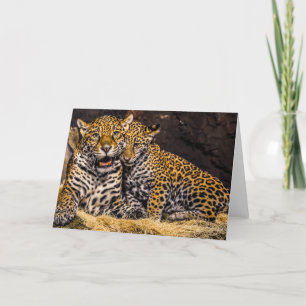 Jaguar Mum & Cub Greeting Card