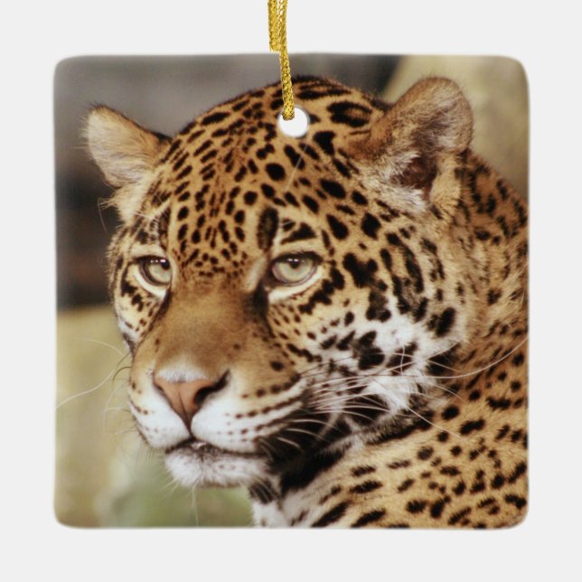 Jaguar Ornament (Front)