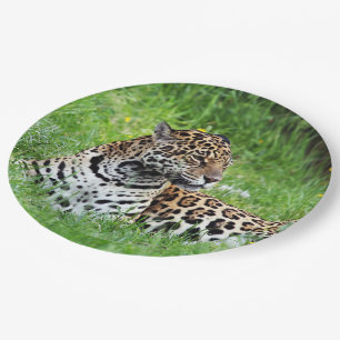 Jaguar Paper Plate