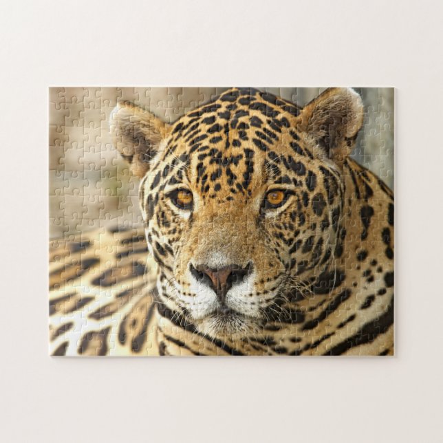 Jaguar Photo Jigsaw Puzzle (Horizontal)