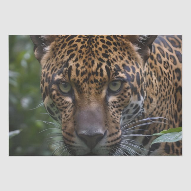 Jaguar Up Close In The Forest, Tissue Paper (Front)