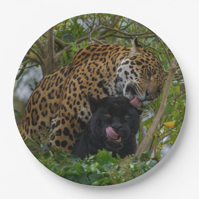 Jaguars In Love Paper Plate (Front)