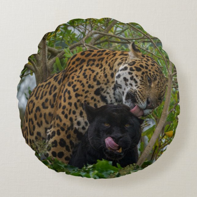 Jaguars In Love Round Cushion (Front)