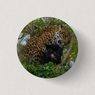 Jaguars In Love Silver 3 Cm Round Badge