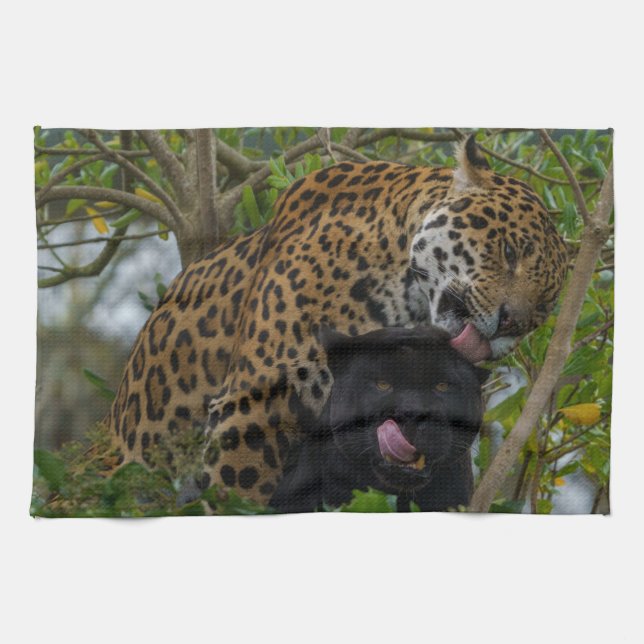 Jaguars In Love Tea Towel (Horizontal)