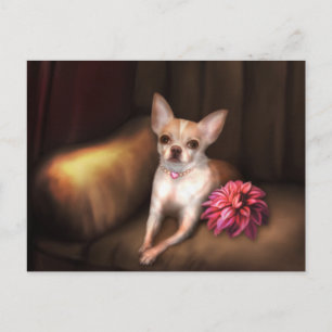Jaguarwoman's "Chihuahua Portrait I" Postcard