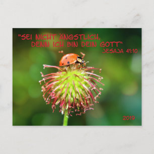 Jahrestext 2019 postcard