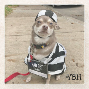 Jail Bird Huey  Glass Coaster