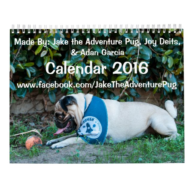 Jake the Adventure Pug 2016 Calendar (Back)