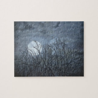 Jake's Moon Jigsaw Puzzle