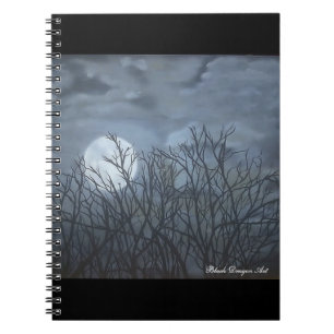 Jake's Moon Notebook