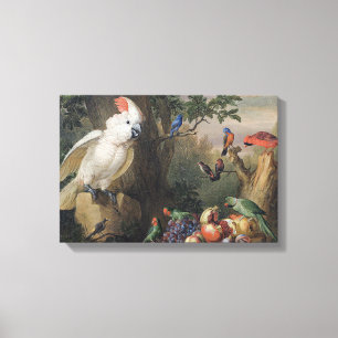 Jakob Bogdani Birds and Fruit in a Landscape  Canvas Print