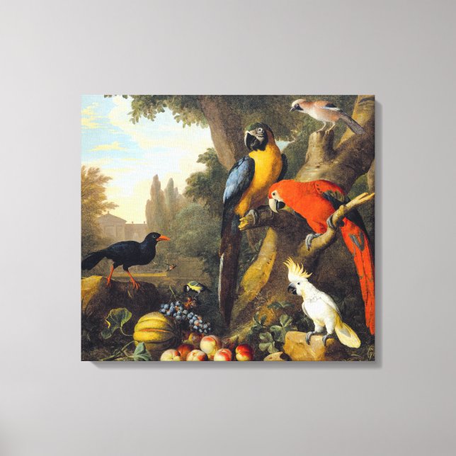 Jakob bogdani Two Macaws a Cockatoo a Red-billed   Canvas Print (Front)