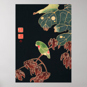 Jakuchu - The Paroquet Poster