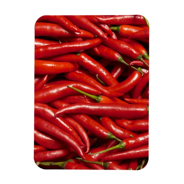 Jalapenos Magnet (Vertical)
