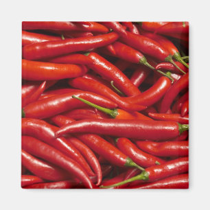 Jalapenos Magnet