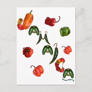 Jamaica Chilli Peppers Postcard