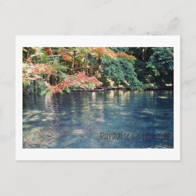 Jamaica Paradise Postcard (Front)