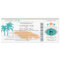 Jamaica Save the Date Boarding Pass