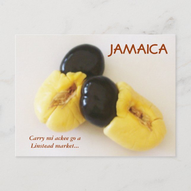 Jamaican Ackee Postcard (Front)