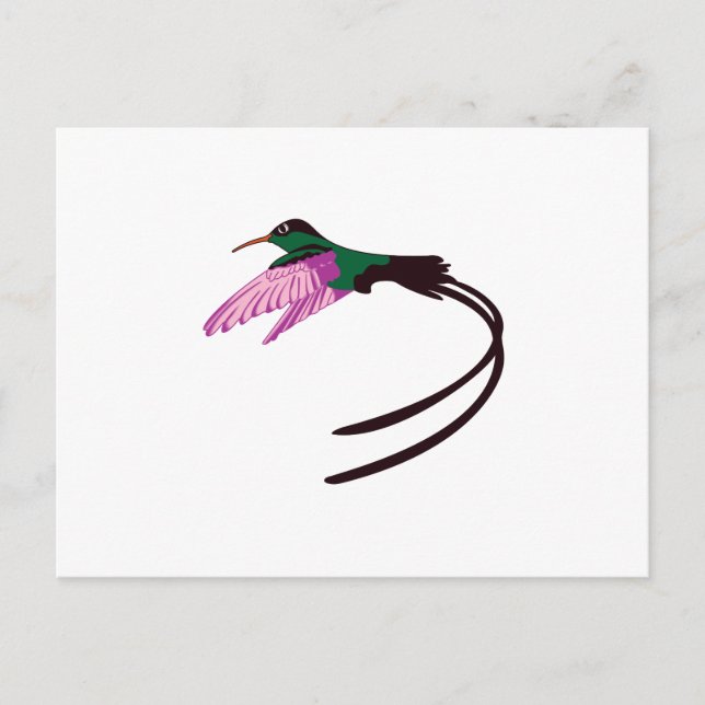 Jamaican Bird Postcard (Front)