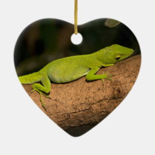Jamaican giant anole ceramic tree decoration