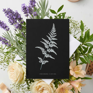 Jamaican Goldback Fern, Gymnogramma Sulphurea Card