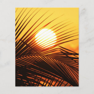 JAMAICAN SUNSET TROPICAL PHOTOGRAPHY NATURE WALLPA FLYER