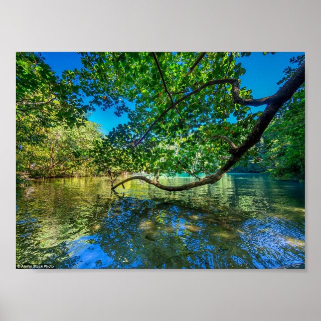 Jamaica's Blue Lagoon, Port Antonio Poster (Front)